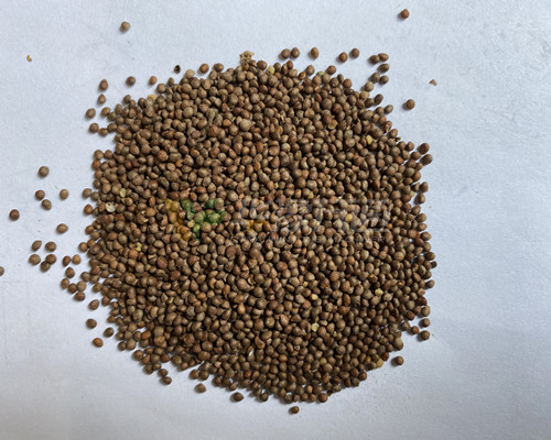 紫蘇籽脫殼成套設(shè)備