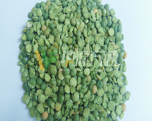 <a href=http://m.cksalon.com/product/8/ target=_blank class=infotextkey>豌豆脫皮機</a>