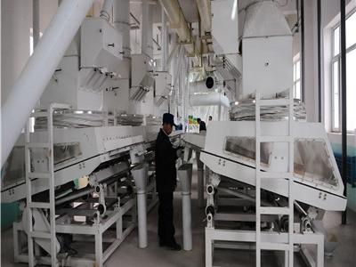 河南漯河60噸玉米制糝制粉成套項目