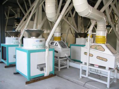 山西 連續自動化苦蕎茶成套加工項目