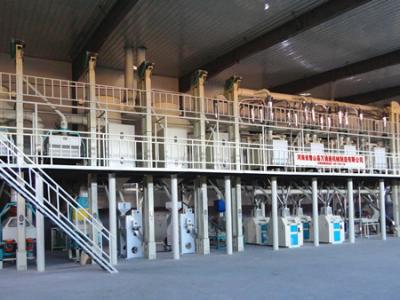 吉林省海城糧食貿易有限公司 日60噸玉米加工生產線