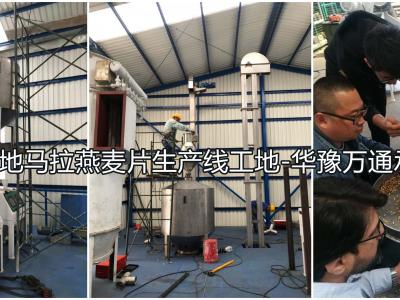 危地馬拉2噸燕麥脫殼1噸燕麥切粒壓片成套設備交付客戶使用